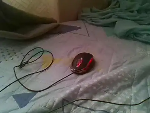 bbccol1 webcam