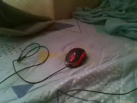 bbccol1 webcam