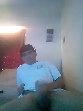 wa379 webcam