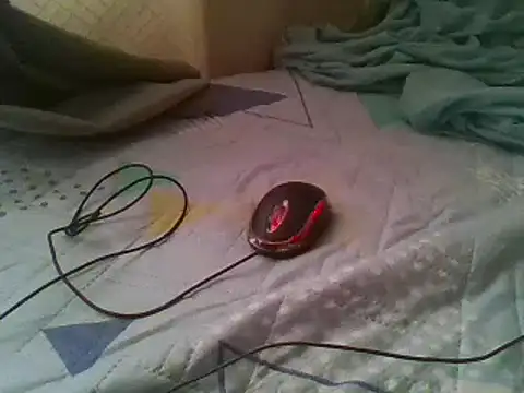bbccol1 webcam