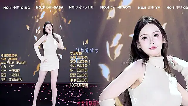 TY-002 webcam