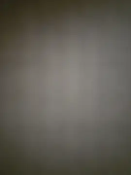 XxMuse webcam