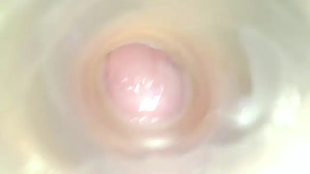 karol_stom live cam on StripChat