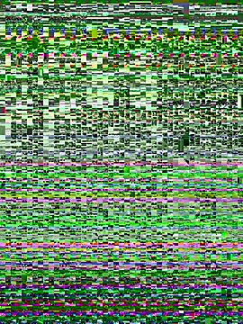 Lilihappy webcam