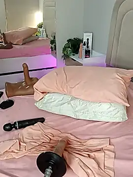 Liastarkk webcam