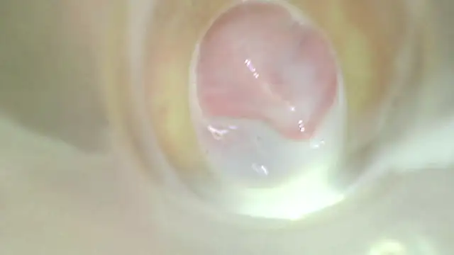 karol_stom webcam