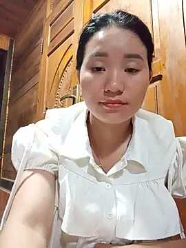 Td3di webcam