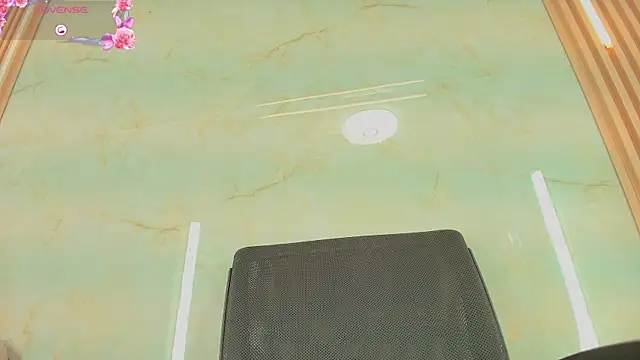 ariannaruiz webcam