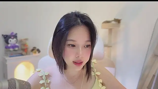 facai-feifei webcam