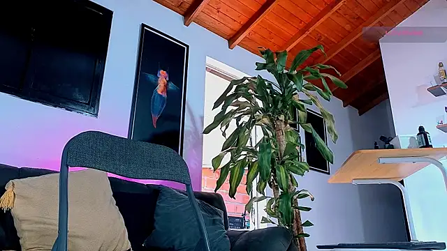 SilvaBranko webcam