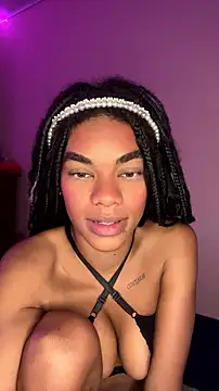 MIMICAMM webcam