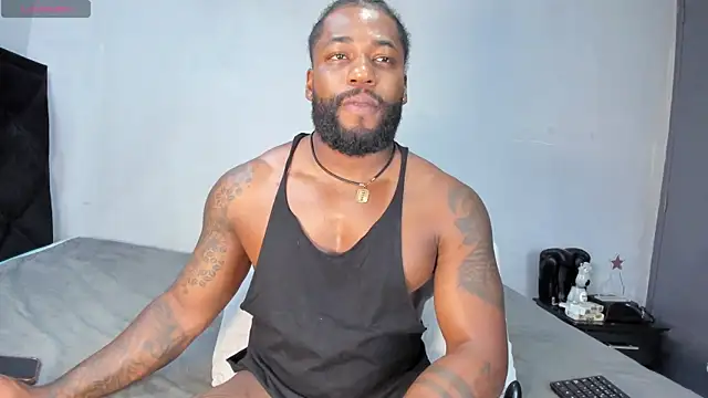 Dancelwashington webcam