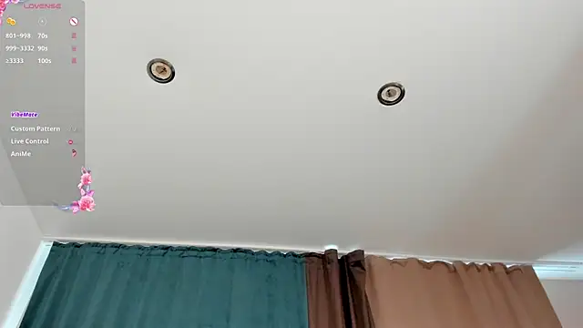EditaBand webcam
