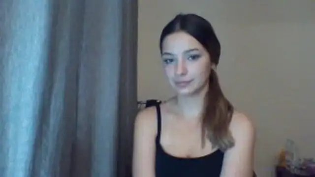 EvelineMagnetic webcam