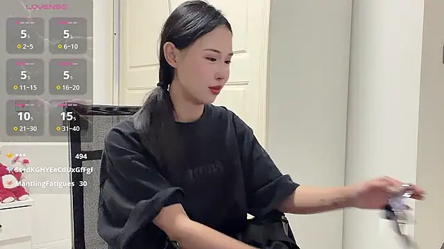 -LINXI webcam