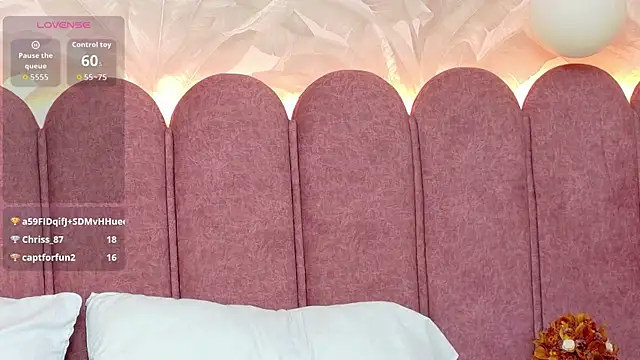 Laurent-Rose webcam