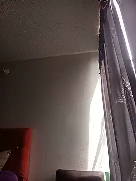 Taylor-Sweet webcam