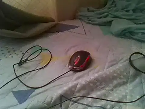 bbccol1 webcam