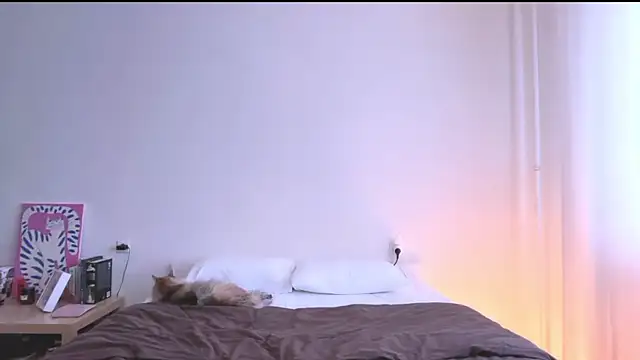 Milky___Way webcam