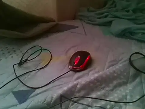 bbccol1 webcam