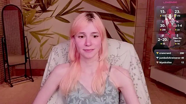 fleximona webcam