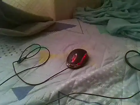bbccol1 webcam