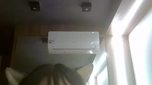 SkinnyKitten webcam