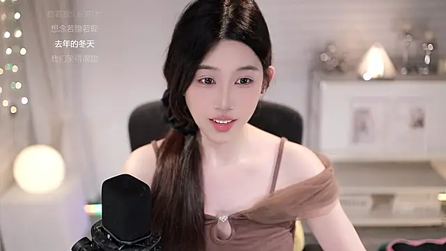SleepArtist webcam