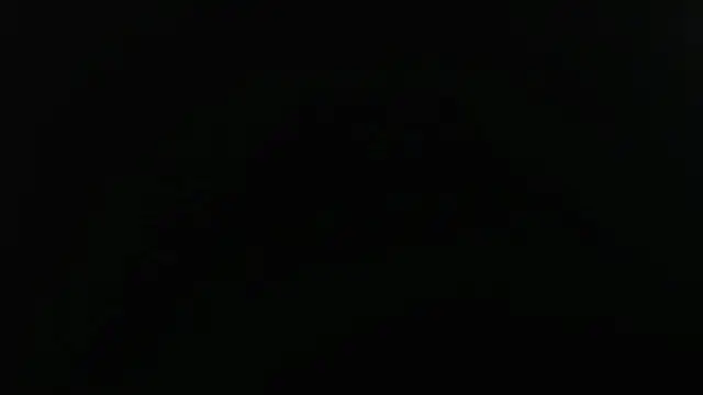 euphoriabigass webcam