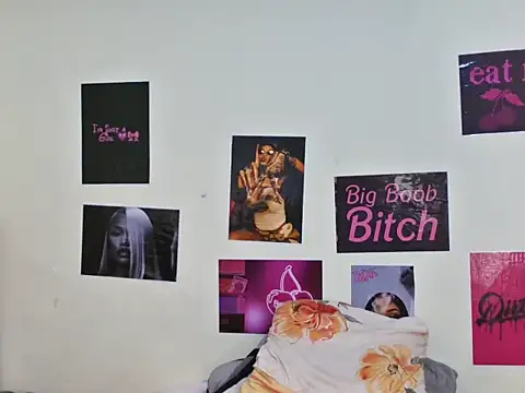 Aria_ah webcam