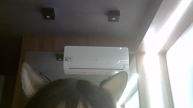 SkinnyKitten webcam