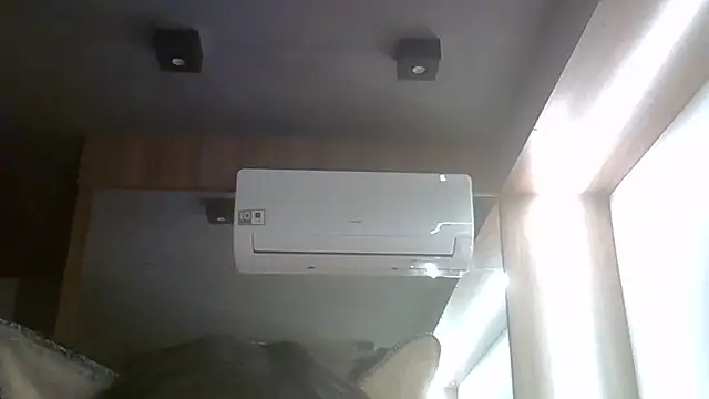 SkinnyKitten webcam