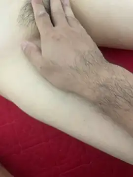 vietAnhzip