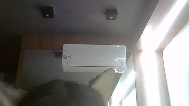 SkinnyKitten webcam
