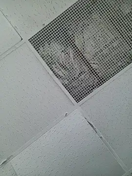 Biknight webcam