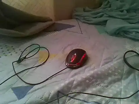 bbccol1 webcam