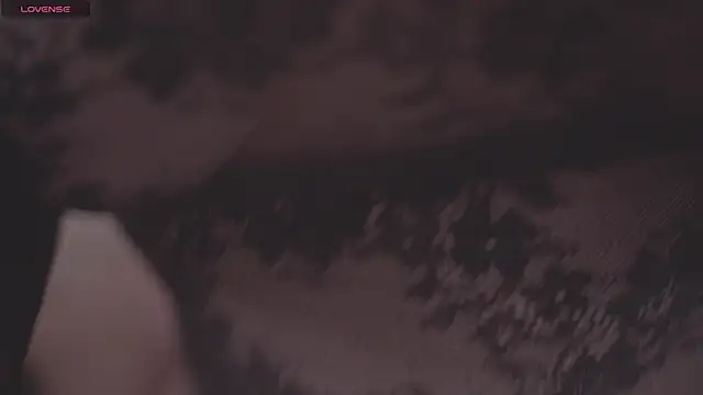 Wild_Wonders webcam