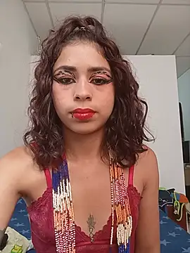 H_hiana webcam