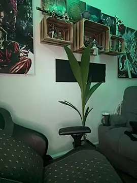 sami_zone webcam