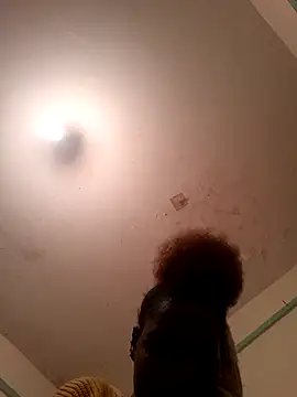 meshje webcam