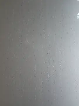 mdma9119 webcam