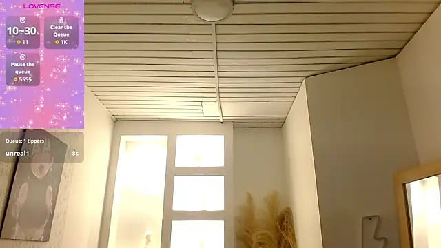 Haddes_as webcam