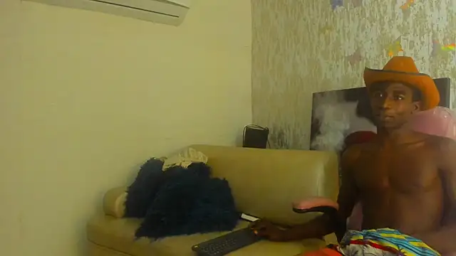 elio_x webcam