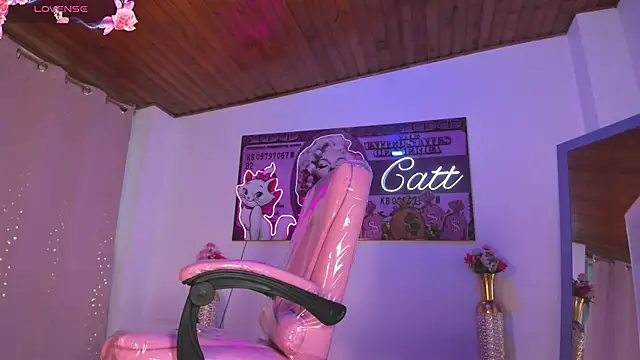 catt_monroe webcam