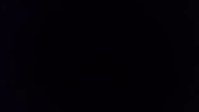bree_libra webcam