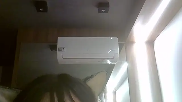 SkinnyKitten webcam