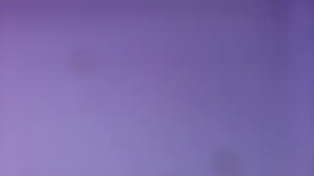 rubihops webcam