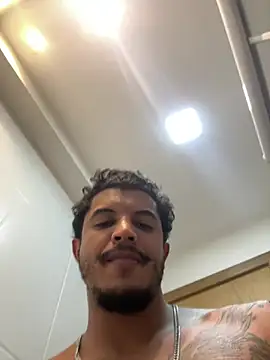 Sanicrt webcam