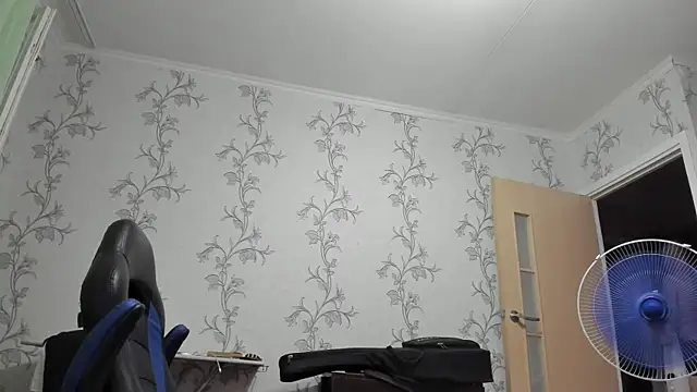 SanFrantsisko webcam