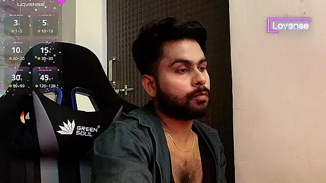 SilverShade3 webcam